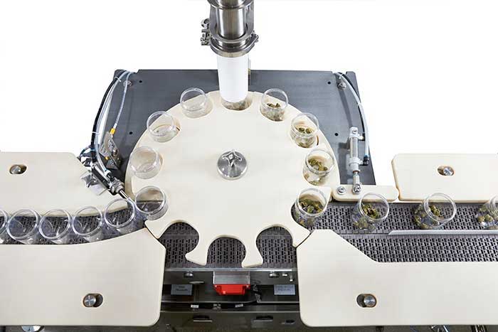 Spee-Dee Rotary filler Changeover